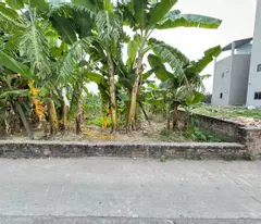 Bán đất tổ 9, Quang Minh, Mê Linh, HN. Cách 450m tới trường CD Y Dược Tuệ Tĩnh. 70m, giá 3,29 tỷ.