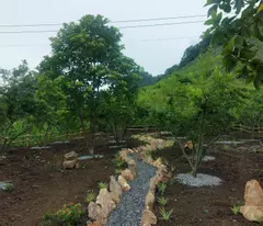 Chính chủ cắt lỗ 800m2 đất tại Mộc Châu thích hợp đầu tư du lịch