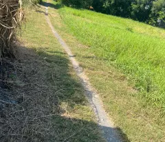 Chính Chủ Cần Bán Gấp 388m2 Đất Nuôi Trồng Thủy Sản Tại Mỹ Hạnh Bắc, Đức Hòa, Giá chỉ 1 tỷ 150