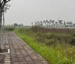 Bán đất KĐT Kỳ Đồng, Phú Xuân, Thái Bình, Diện tích 90m2, giá 3 tỷ