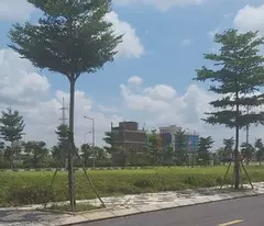 Lô Đất Vàng Hoàng Diệu - 262m² Giá Chỉ 600 Triệu, Cơ Hội Đầu Tư Đỉnh Cao!