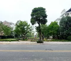 BIỆT THỰ LOUIS CITY ĐẲNG CẤP 5 SAO - SÁT ĐƯỜNG LÊ QUANG ĐẠO KÉO DÀI - TIỆN ÍCH ĐỈNH CAO
Diện tích