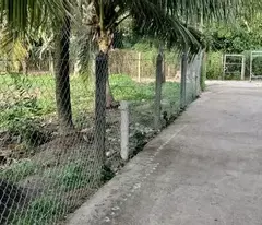 Bán đất An Sơn 32 - 500m² thổ cư 100m², giá chỉ 4,6 tỷ