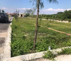 Mở bán đất nền Quất Lâm, Giao Thủy, Nam Định. Đón sóng đầu tư, tiềm năng sinh lời cao.