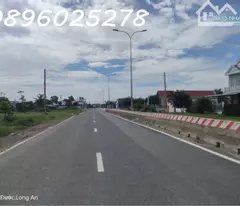 Bán đất thổ cư 248m² mặt tiền Tỉnh lộ 825D, Long Định, Cần Đước, Long An - 1.5 tỷ