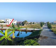 Chính chủ cần tiền bán gấp lô đất mặt đường bao biển 30m Quất Lâm , Full thổ cư 85 m - 120 m
