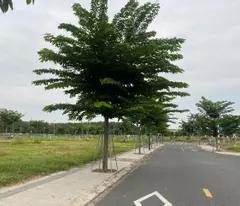 “Cơ Hội Vàng: Sở Hữu Lô Đất Nền 80m² Hòa Lợi, Pháp Lý Chuẩn, Giá 1,68 Tỷ!