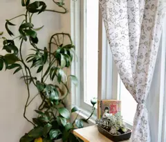 CHÍNH CHỦ GỬI BÁN CĂN NHÀ NHỎ ĐANG CHO THUÊ HOMESTAY (THU NHẬP 6TR/THÁNG)