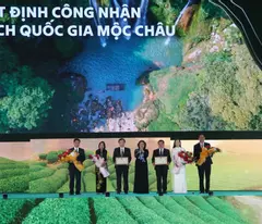 BÁN BIỆT THỰ MỘC CHÂU- VIEW ĐẸP TẠI PANACEA HILL MỘC CHÂU, 6,69 TỶ, 153 M2