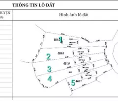 CẦN CÁN GẤP 5 LÔ ĐẤT ĐẸP:F0  TẠI THÔN MỊN TO_XÃ TRÙ HỰU_LỤC NGẠN_BẮC GIANG