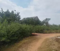 CẦN CÁN GẤP 5 LÔ ĐẤT ĐẸP:F0  TẠI THÔN MỊN TO_XÃ TRÙ HỰU_LỤC NGẠN_BẮC GIANG