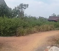 CẦN CÁN GẤP 5 LÔ ĐẤT ĐẸP:F0  TẠI THÔN MỊN TO_XÃ TRÙ HỰU_LỤC NGẠN_BẮC GIANG