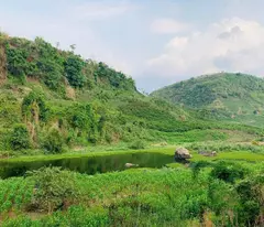 Đất nền kinh doanh Homestay khu vui chơi giải trí tại Đà Lạt Lâm Đồng.