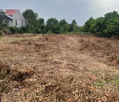 CƠ HỘI ĐẦU TƯ SINH LỜI CAO ĐẤT THUỘC THỊ XÃ CHŨ- BẮC GIANG- SỞ HỮU FARM TRỒNG RAU SẠCH KHÍ CANH.(