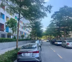 Bán nhà phố Nguyễn Thanh Bình (chân đế Terre An Hưng), dòng tiền cho thuê dạt dào, 97m, 9.9 tỷ
