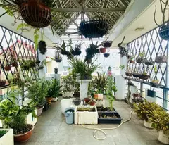 BÁN NHÀ ĐẸP VỊ TRÍ KD_OTO NGỦ TRONG NHÀ_ 74M2_ 7PN_SHR _ 6TY6 TL
