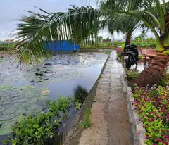 Chuyển Nhượng Lô Đất Thuộc Xã Tân Phong- Huyện Kiến Thụy- Hải Phòng