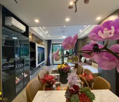 Siêu Phẩm đón Tết, Ngô Gia Tự 50m2, 7 tầng thang máy full nội thất, ô tô đua, giá 13 tỷ