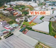 BÁN ĐẤT THỔ CƯ MẶT TIỀN ĐƯỜNG ĐA PHÚ - PHƯỜNG 7 - ĐÀ LẠT
