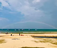 Bất động sản xây  Resort mặt tiền biển Mũi Né: 1,68ha view tuyệt đẹp, giá chỉ 10 triệu/m². Phan