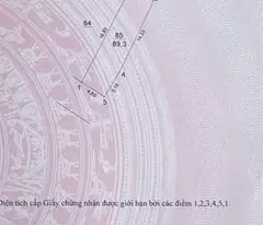 Bán Đất Mạch Tràng Cổ Loa Đông Anh 89m Gần Vin Cổ Loa