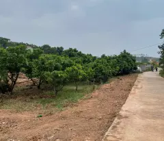 Cần bán 5 lô  biệt thự F0 tại Kiên Thành- Lục Ngạn -Bắc Giang