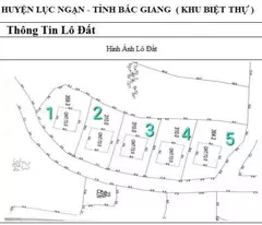 Cần bán 5 lô  biệt thự F0 tại Kiên Thành- Lục Ngạn -Bắc Giang