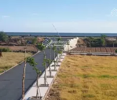 Cơ Hội Vàng! Bán Gấp Lô Góc Đẹp Nhất Mặt Biển Quất Lâm - 100% Thổ Cư, Giá Rẻ Hơn Thị Trường 20%!
