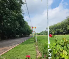 BÁN ĐẤT NỀN SỔ SÃN BÌNH DƯƠNG GIÁ CHỈ 750 TRIỆU 250M2