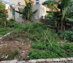 BÁN MẢNH ĐẤT GẦN 65M  Ô TÔ GẦN TRỤC CHÍNH ĐẠI ÁNG THANH TRÌ GIÁ 2.X TỶ