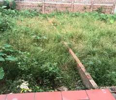 Bán 3 lô cạnh nhau 34m2, 35m2, 43 m2 cho mua xây nhà ở bán phân khúc dưới 2,5 tỷ quá OK