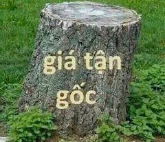 Bán 3 lô cạnh nhau 34m2, 35m2, 43 m2 cho mua xây nhà ở bán phân khúc dưới 2,5 tỷ quá OK
