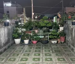 Nhà 4 tấm (3.2x25) Mặt Tiền Nguyễn Ảnh Thủ, Hiệp Thành, Quận 12 giá sốc hơn 7₫