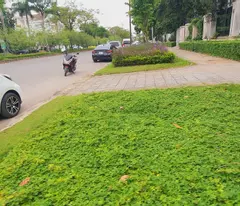 + Bán Căn Biệt Thự cao cấp 3 tầng , diện tích 300m2 , mặt tiền 12m . Vị trí đẹp nhất nhì Cipucha