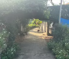 Bán 6m x 30m đất ONT Tân Bình - TX LaGi hạ giá 40%
