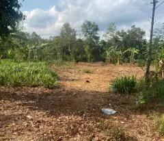 2770m2 Đất Đỏ Bazan Xã Bảo Bình Thổ Cư 300m2. Trọn Sổ Giá 1ty6
