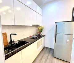 CĂN HỘ 2 NGỦ, 54M2 - FULL NỘI THẤT - KĐT NAM TRUNG YÊN