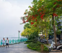 Hiếm nhà vt1 phố Vip Võng Thị 5.95 tỷ tặng Nội Thất 1 Tỷ