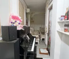Bán nhà 6 tầng Hiện Đại Chính Chủ - Số 9 Tân Xuân, P.8, Tân Bình - Giá Chỉ 29 Tỷ, Nhanh Tay Sở Hữu!