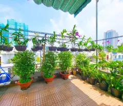 Nhà Ba Tháng Hai hẻm xe tải thông Lý Thường Kiệt Thành Thái - Dòng tiền 50tr - Chỉ 27 tỷ