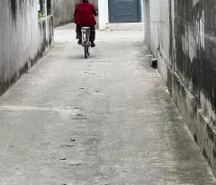 Bán 48.3 m2 đất thôn Cổ Dương xã Tiên Dương huyện Đông Anh