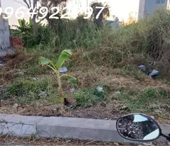 Bán đất thổ cư 217m2, Thạnh Xuân 52, Q.12, 6.7 tỷ, sổ hồng