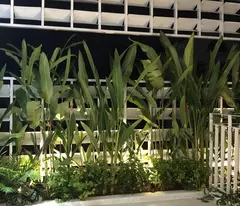 HÀNG HOT: NHÀ RIÊNG 26, PHƯỚC LONG A, QUẬN 9 – DIỆN TÍCH 198,4M² – CHỈ 10,5 TỶ!
