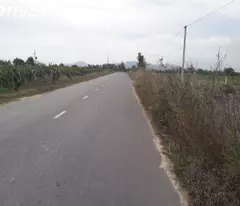 Bán 50m x 70 đất thổ cư Mai Thúc Loan, Thị xã LaGi giảm 50% chỉ 160tr/m ngang