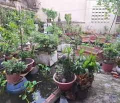 BÁN NHÀ MẶT TIỀN TRẦN QUANG KHẢI, KHU KIẾN THIẾT, HIỆP PHÚ, THỦ ĐỨC, 160M2