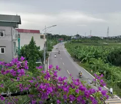 Đường Liên Xã 153m2. Trục Đường chính