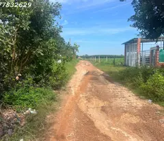 Bán 2000m2 đất ONT Tân Phước - TX LaGi giá ngợp chỉ 2.6 tỷ