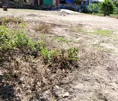 Bán 2000m2 đất ONT Tân Phước - TX LaGi giá ngợp chỉ 2.6 tỷ