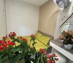 CHTT Thành Công, Vỉa hè, Ô tô tránh, KD, 3.98T
