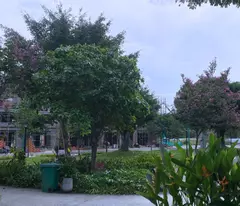 Bán Đất Hòa Lợi, Gần KCN Mỹ Phước 3 - Diện Tích 80m², Thổ Cư 100%, Cách Trung Tâm Thành Phố 10